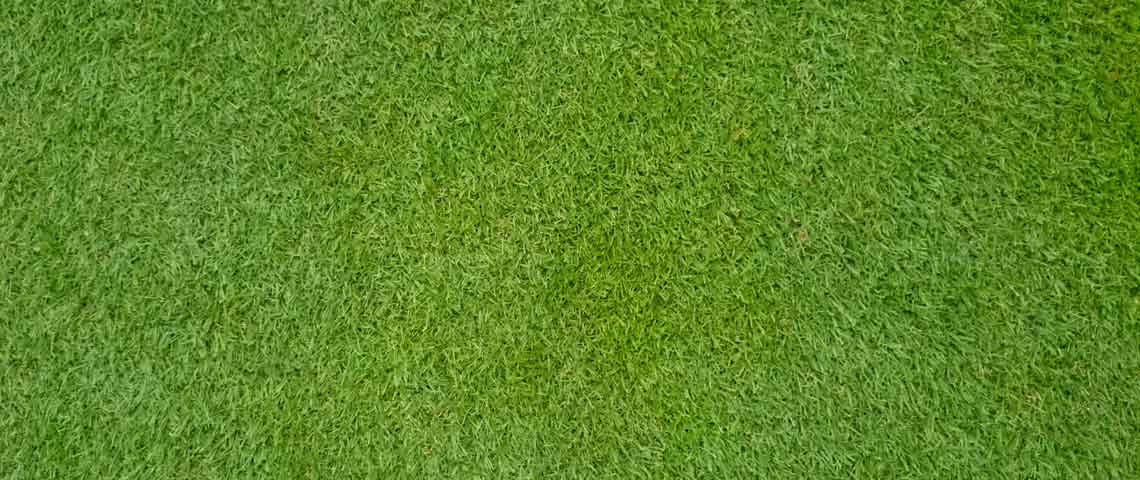 All You Need to Know About Bermudagrass Header