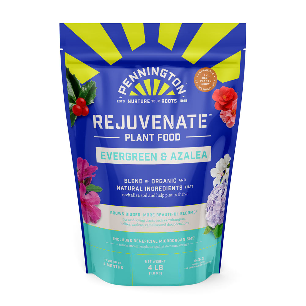 DG369-PE-Rejuvenate-Plant-Food-Evergreen-Azalea-4-3-3-Alt-Images-01