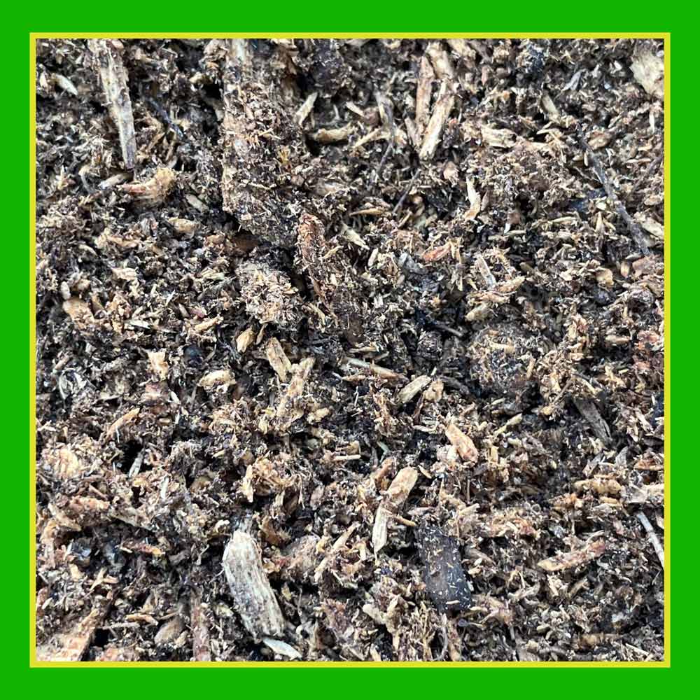 DG373-PE-Rejuvenate-Garden-Mix-Alt-Images-03