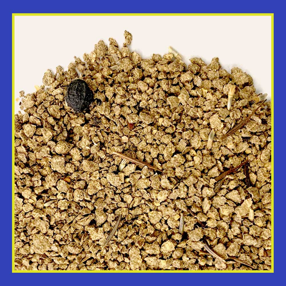 DG386-PE-Wildflower-Southern-Garden-Mix-Alt-Images-03