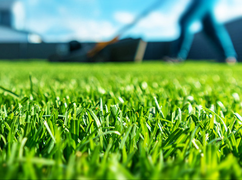 HomePage_Header-mobile