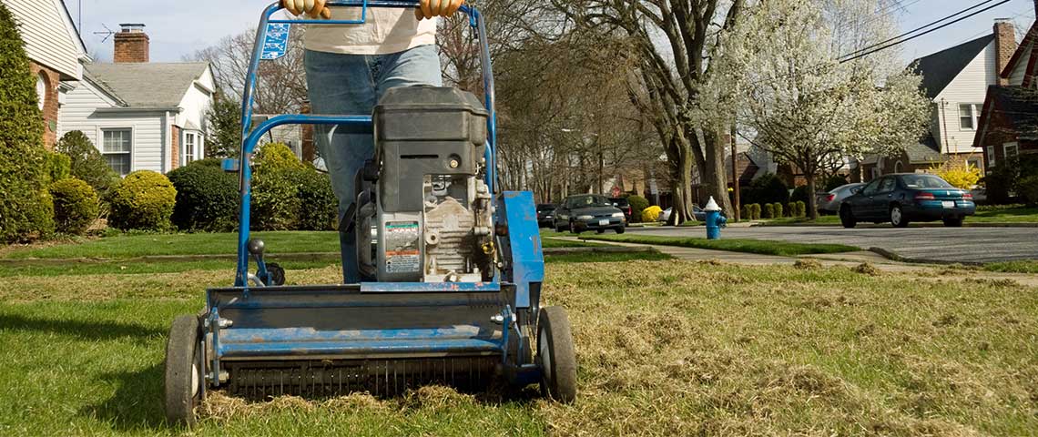Mowing lawn