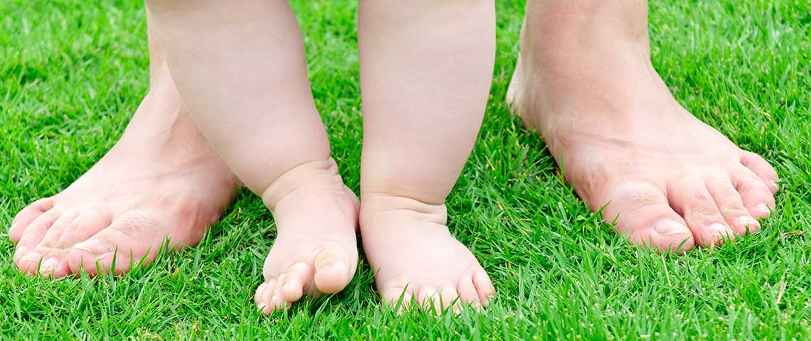 How to Get a Thicker Lawn