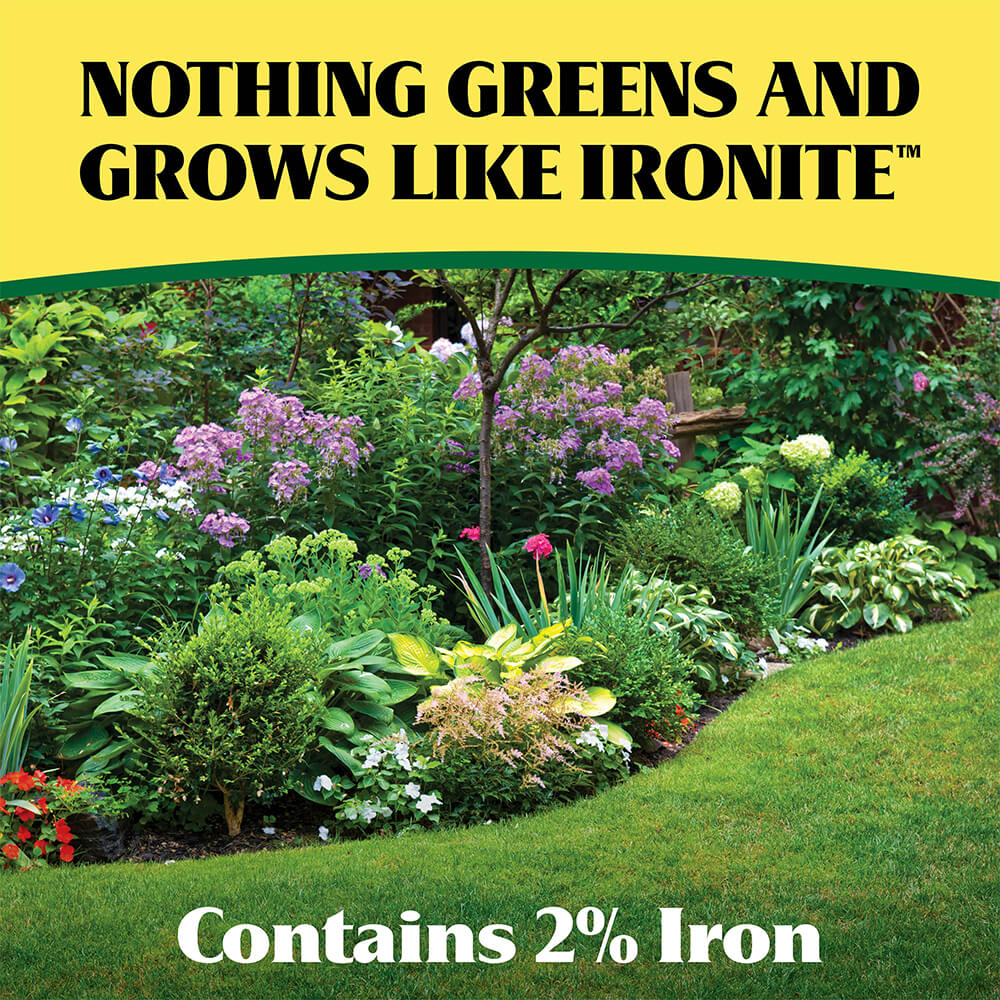 Ironite-Plus-12-10-10_2