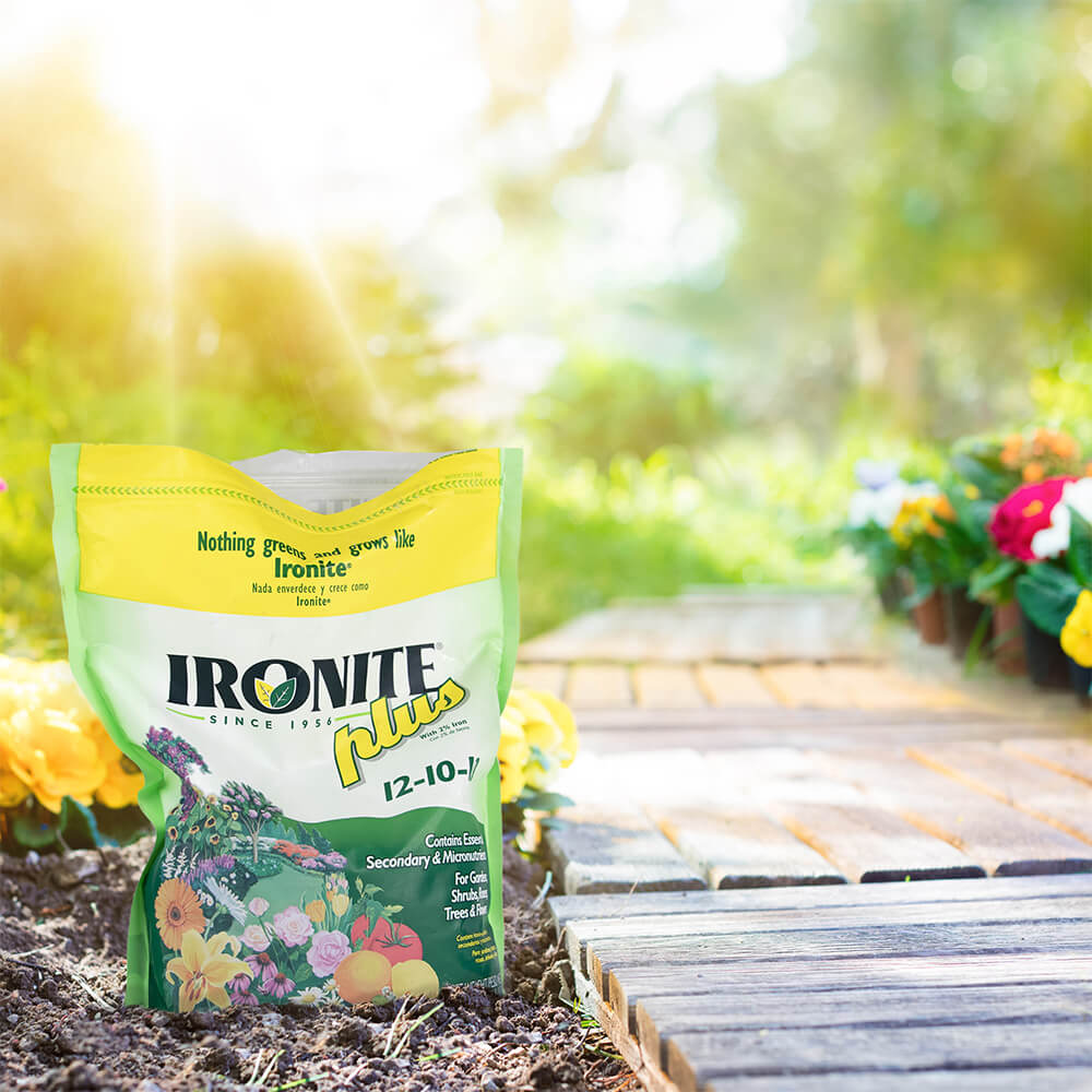Ironite-Plus-12-10-10_4