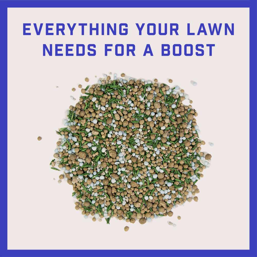 lawn-booster-sun-and-shade-3