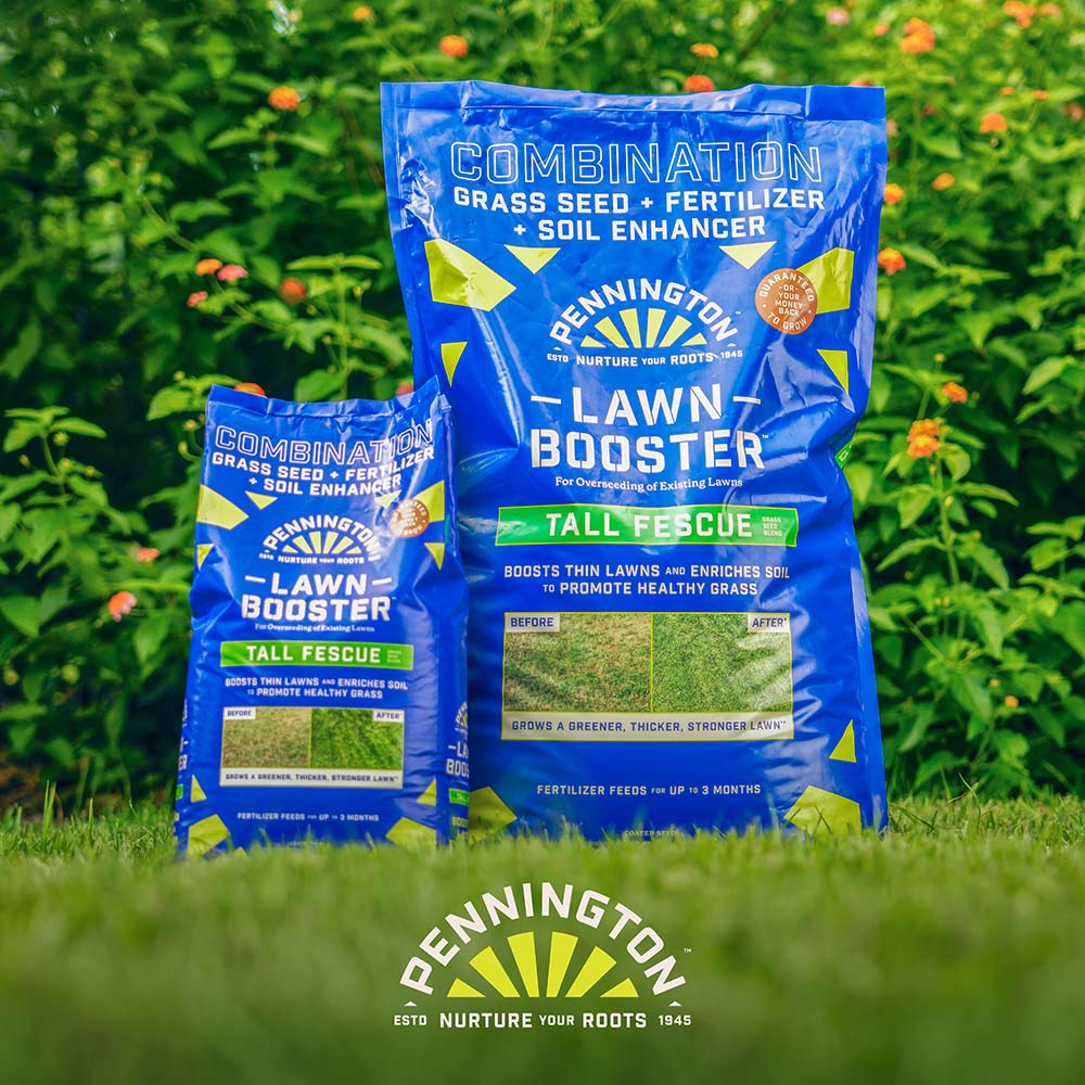 lawn-booster-tall-fescue-13