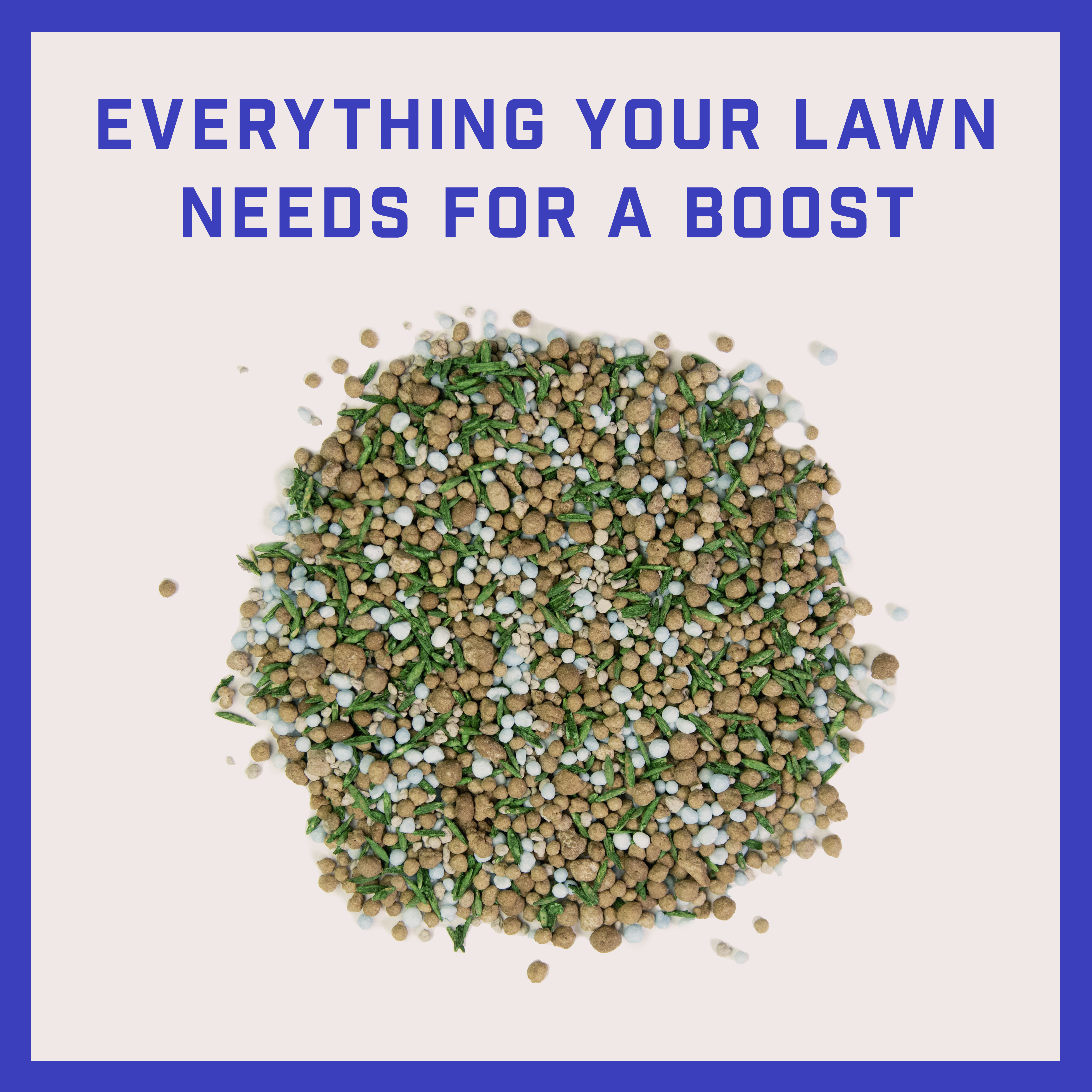 lawn-booster-tall-fescue-3
