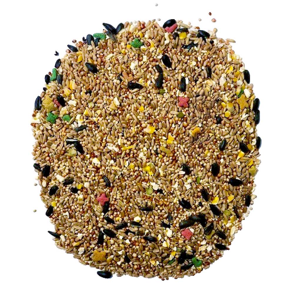 medium-bird-blend-3lbs-3