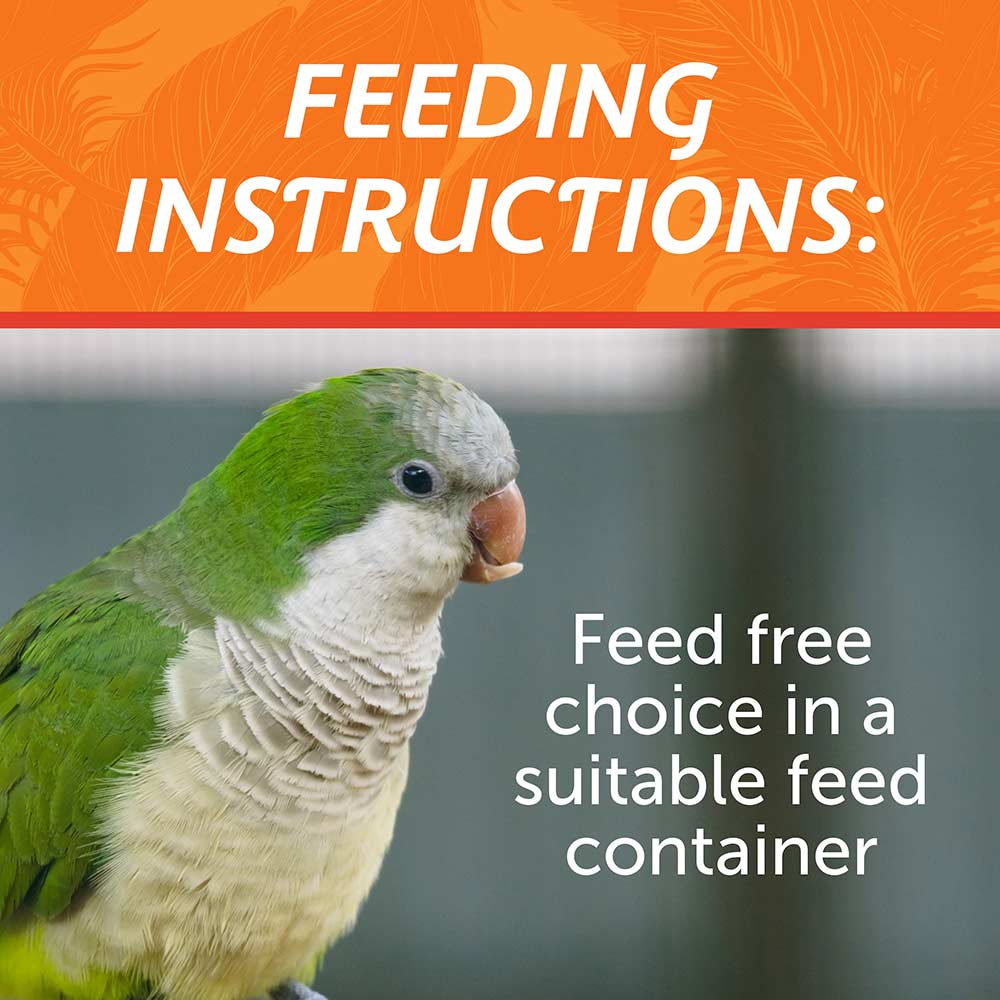 medium-bird-blend-3lbs-6