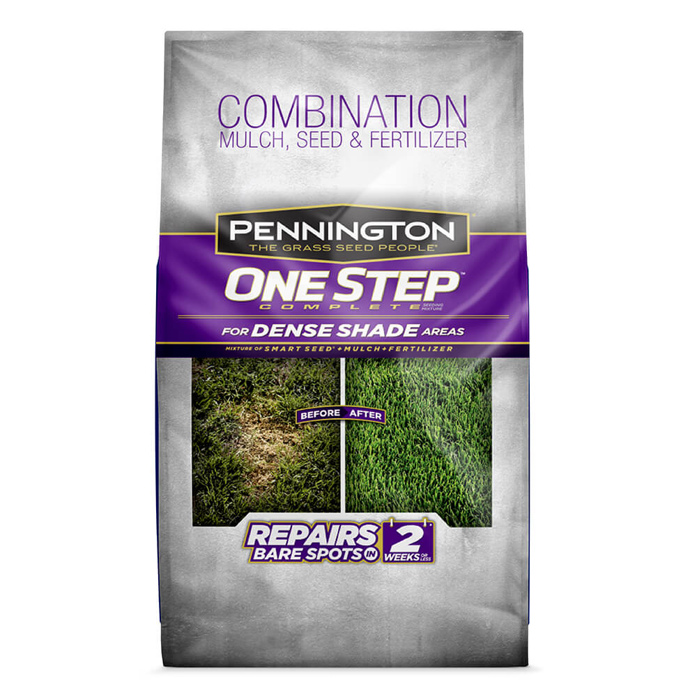 PE-1-Step-Complete_DenseShade_7-correct