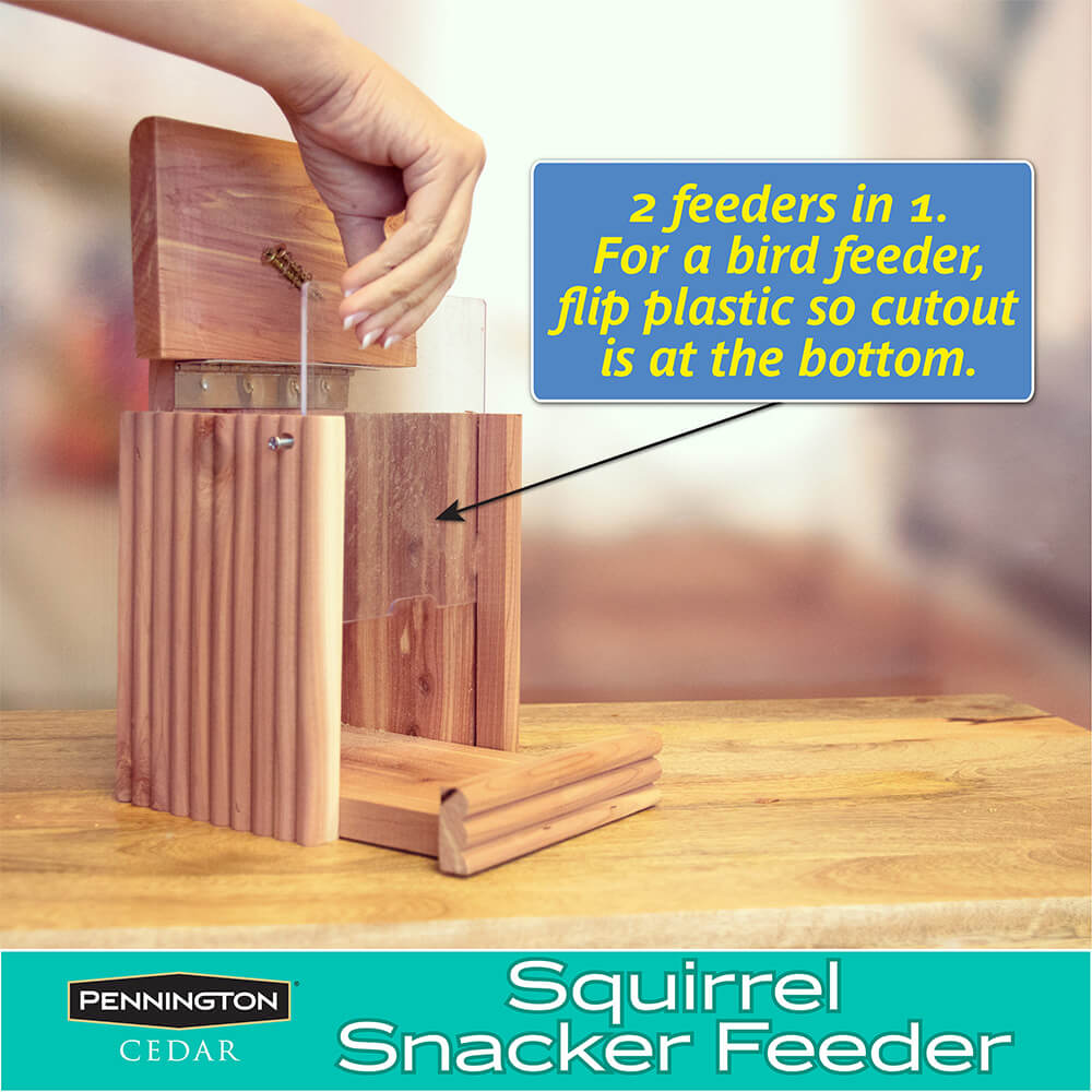 PE-Wildbird-Cedar-Squirrel-Snacker_6