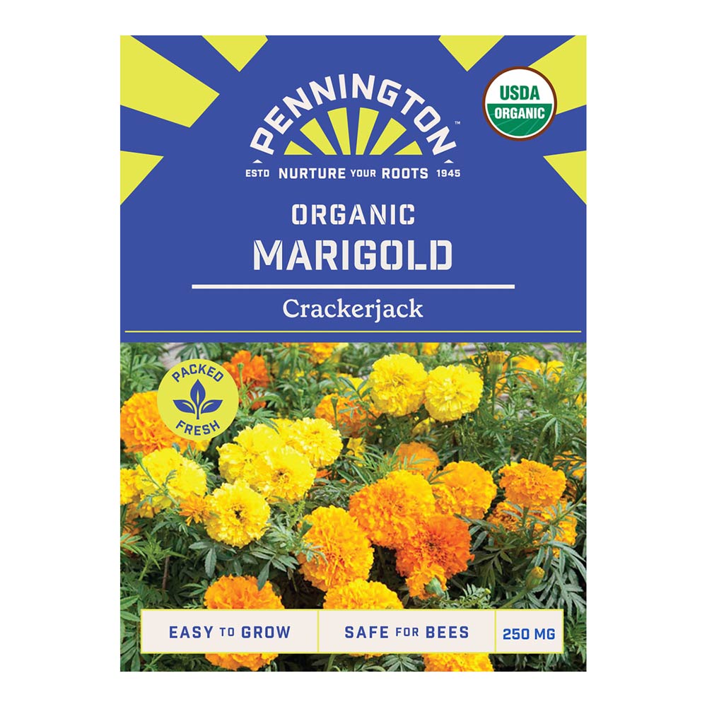 Pennington_8173_ORG_Marigold_Crackerjack_front