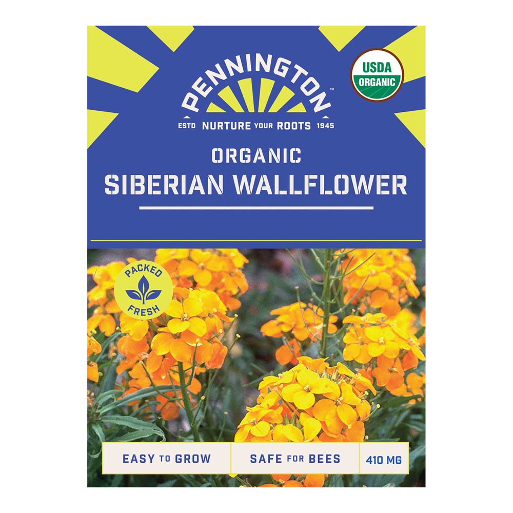 Pennington_8175_ORG_SiberianWallflower_front