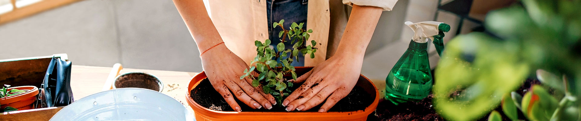 potting-soil_header_1920x400