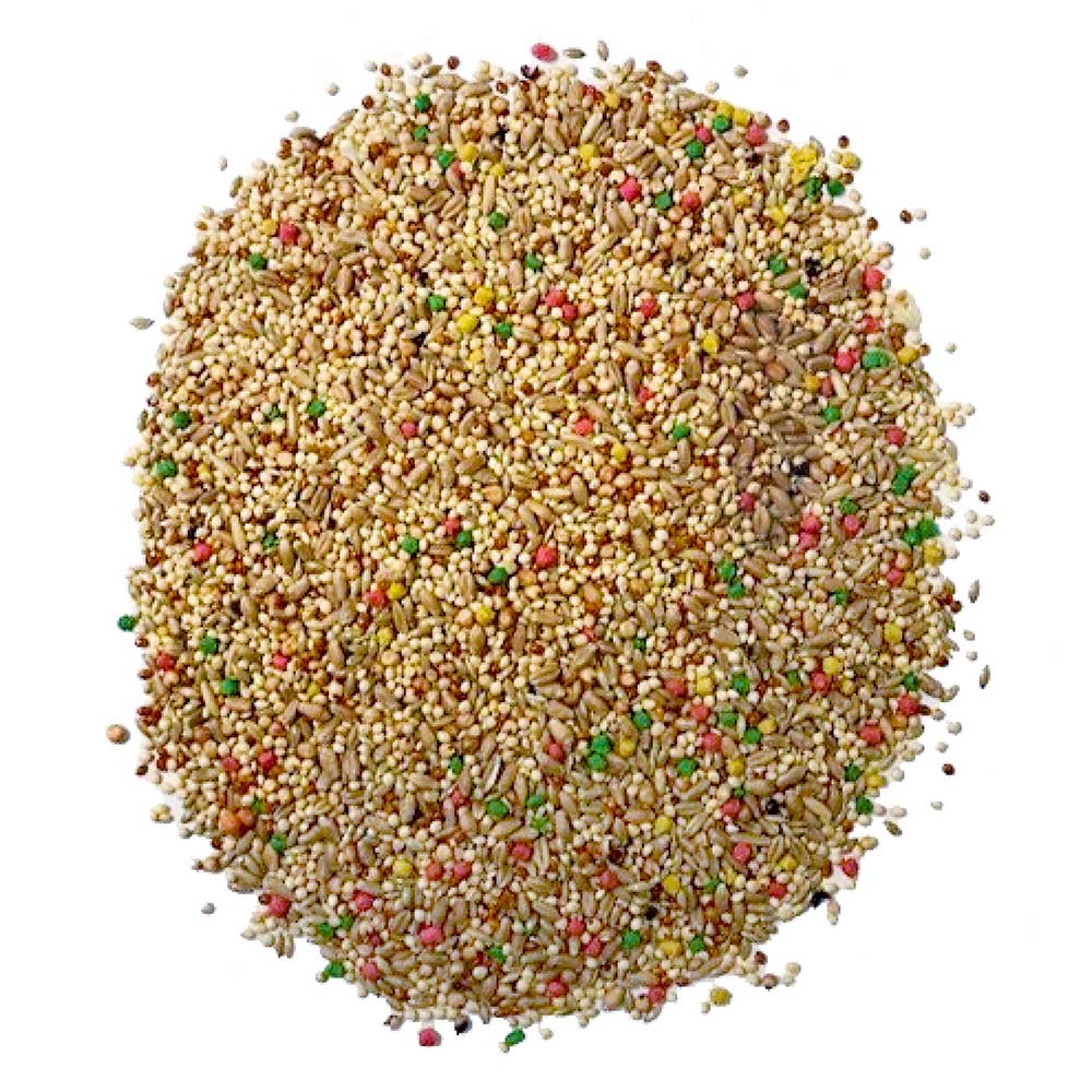 small-bird-blend-3lbs-3