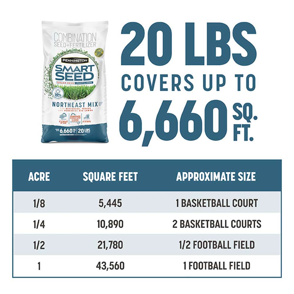 grass-seed-cover-area