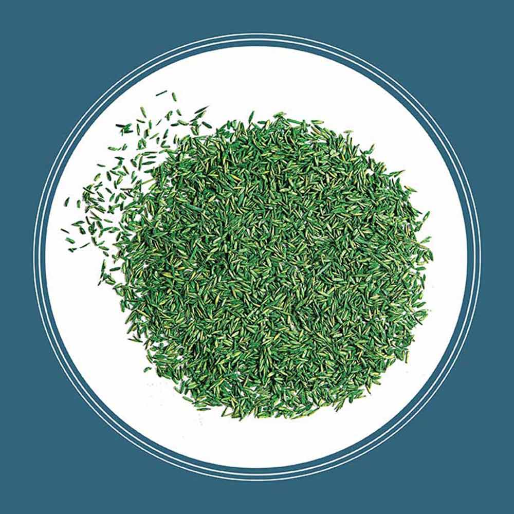 northeast-smart-seed