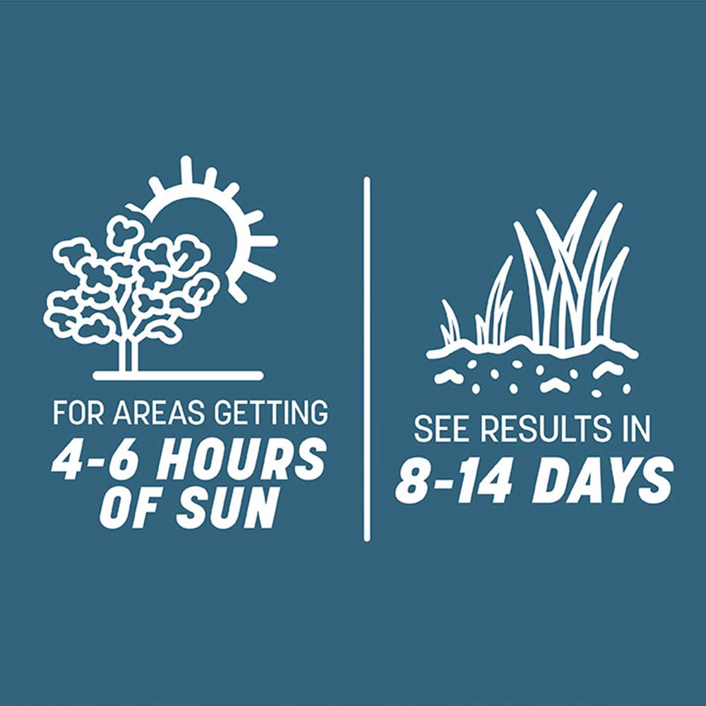 smart-seed-northeast-sun-time