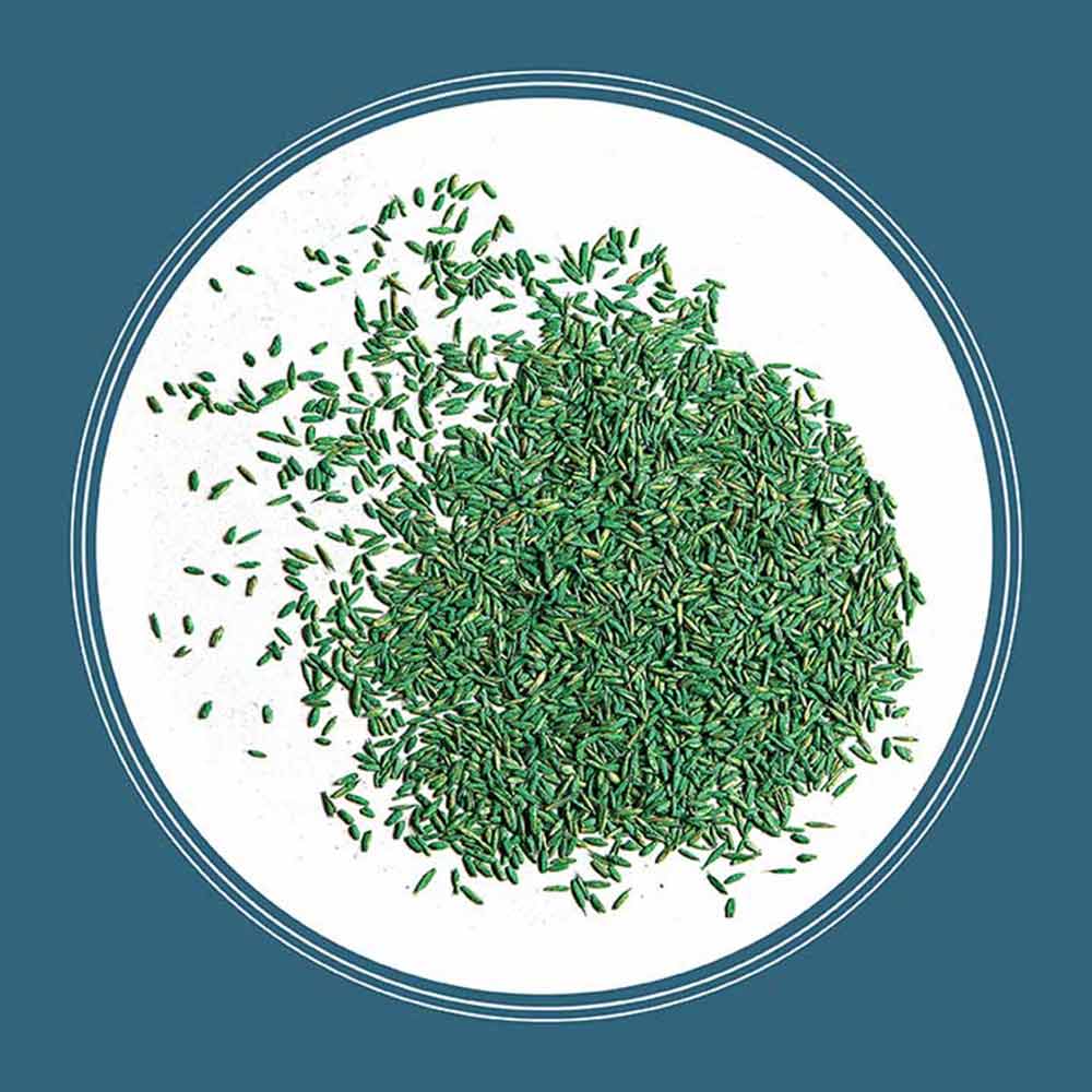 pacific-northwest-grass-seed