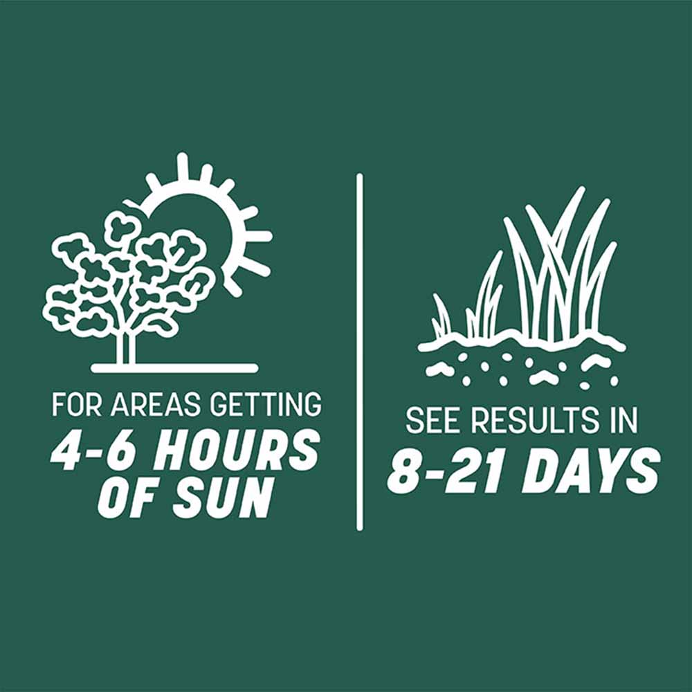 smart-seed-southern-sun-and-shade-grass-sun-time