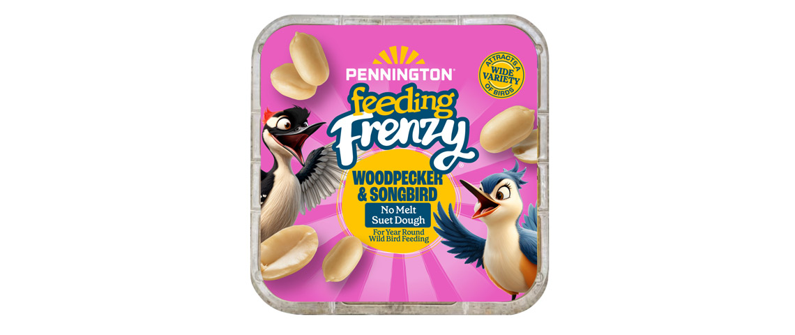 woodpecker-and-songbird-suet-dough-og